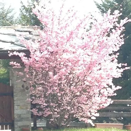 Mon Reve Frühstückspension Aosta